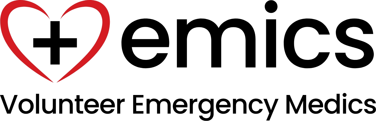 EMICS logo